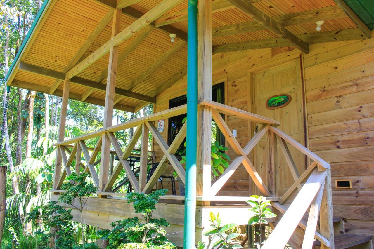 Forest Lodge Uvita Exterior photo
