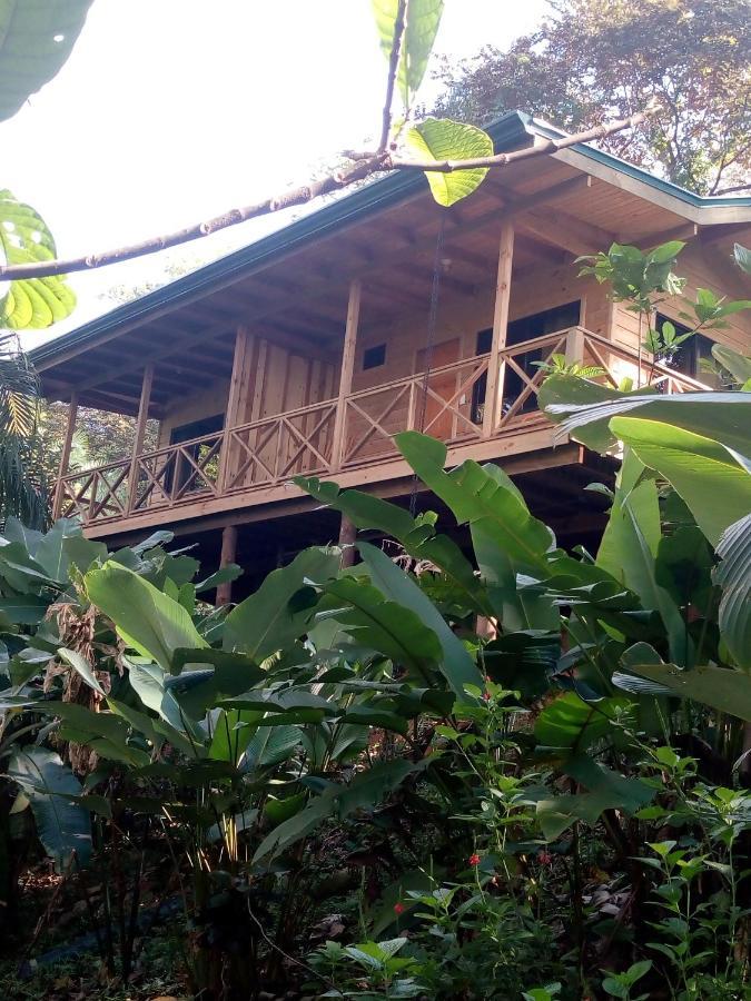 Forest Lodge Uvita Exterior photo