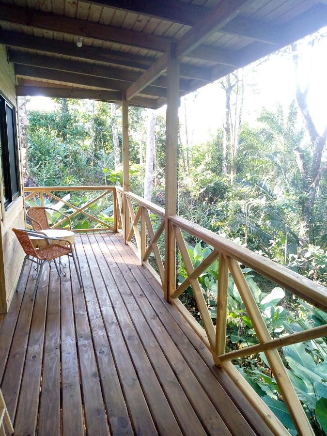 Forest Lodge Uvita Exterior photo